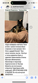 Глубокий детейлинг-грумминг - важный аспект здоровья собаки!    А делаем мы его настолько хорошо, что нам посвящают стихи). Приятно., фото 10455